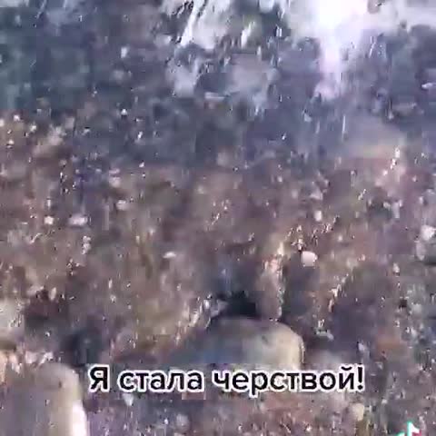 VID_30740808_084502_490