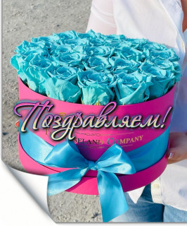 7MoIgPWa8rw