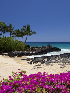 Makena_Cove_by_David_Olsen_jpeg
