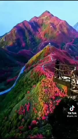 a112f112322c9c323fadaf441898e80a