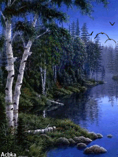 99px__animacii_6576_berezovaja_rosha_na_fone_reki_i_letjashih_ptic