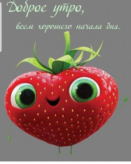 belka_1967-___CTG3Ki9s9yQ___-