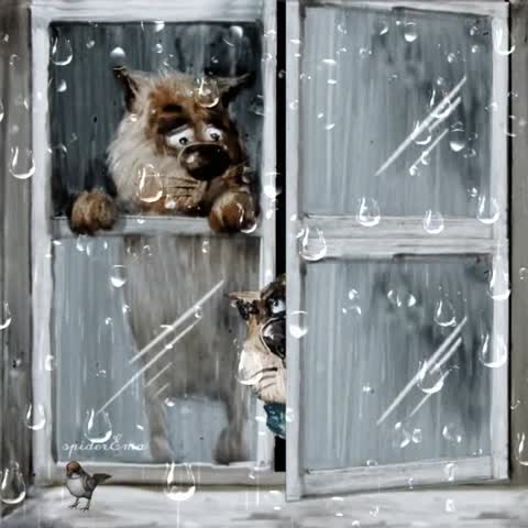 Осень она не спросит