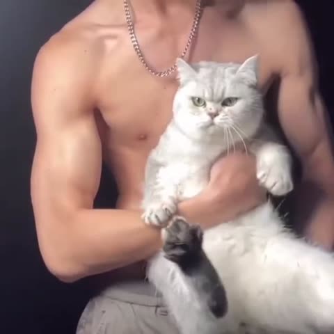 VID_130750730_155004_965