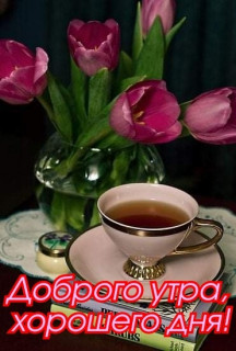 ANMBfvXTDRQ