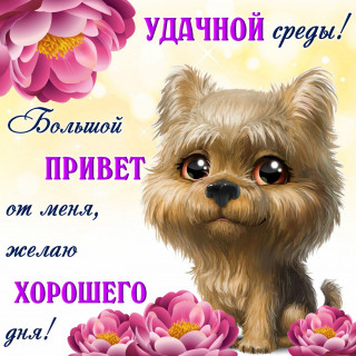 qceqiQVSDHw