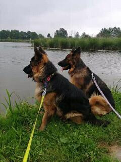 FB_IMG_15961746960491487_jpg_t_1303494068m_5