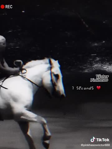 4a18944087ee1a58b799ee0e04bd9692