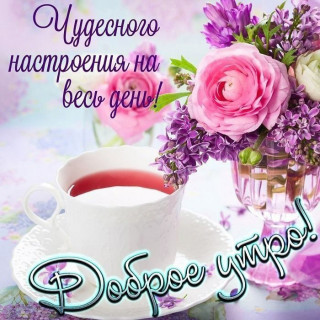 ygL8zY8nwo8