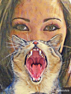 ff7c2670-8ff7-48f8-b775-07a6499bc225