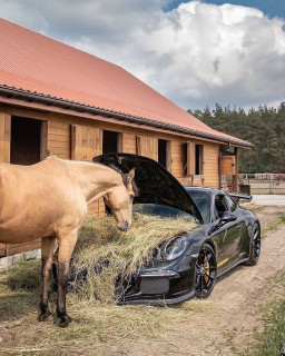 luxurybulls-___COu7xfLAT9N___-
