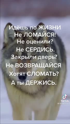 6e9b355ab500f17a6ac47257943c1950