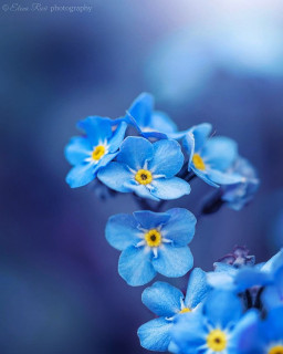 charming_nature__-___CUIGWaMAzVu___-1