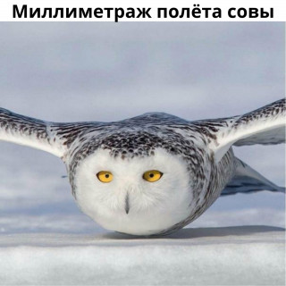 GkJ99j4UbxM