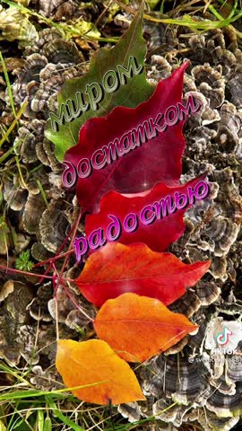 0c1fb45ced2895d0936bab70ff9ee6f9