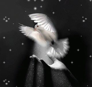 99px__animacii_15421_nad_koj_devushki_parit_golub