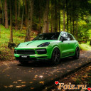 cayenne_ssland-___CUXedoqMWL-___-5