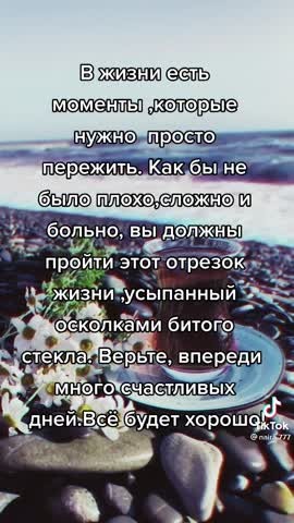 afccae80847cff1a2c0505085953a8e9