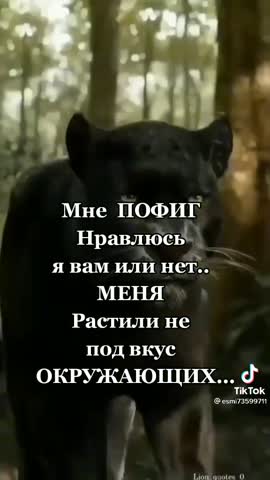 55c007d06c632f6fe4aeda632d7e4917