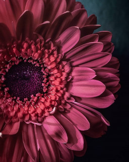 nature__now-___CUU2kKjMROn___-3