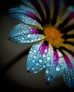 nature__now-___CUU2kKjMROn___-2