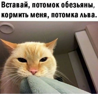 xB3ezWzXX4I