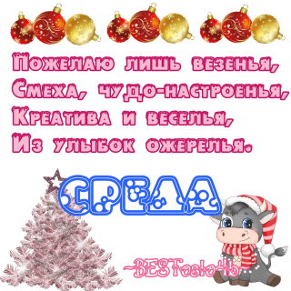 среда_нг