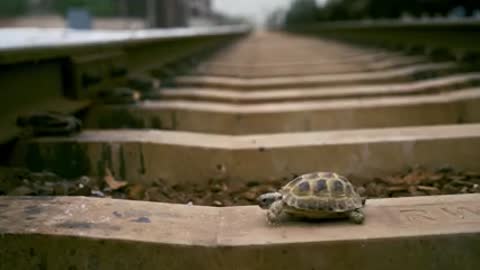 Наргиз_и_Баста