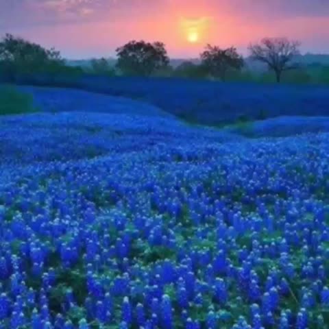 video-0-02-05-6972258c28b2a1e82819c5b6d1c2b53c7b1bec00f2d184535d11649f292fffff-V