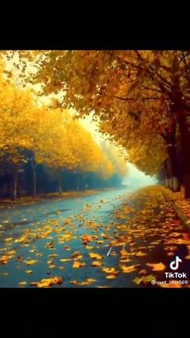 f0c849a2912fe566bcfb4e9ffbbe7a4b