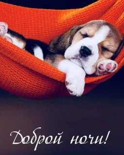 _smile_ua_-___CU21XtBM_mU___-