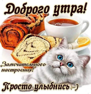 ayBRZsJLlnE