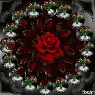 Foiz__Foiz__Роза_калейдоскоп