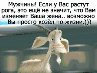 284576474_52bf94d80cde3d89cbb59a_1