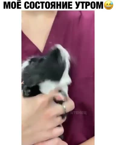 animalsbyworld-___CVMz06WjIxN___-