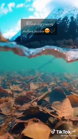 8198b37e62703c787205ae5ce538baac