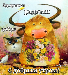 xOmZXDCfQFU
