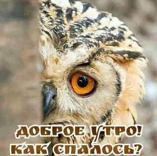 0alifvoenjM