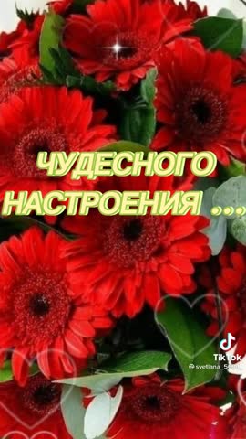 Foiz__VID-20211020-WA0005