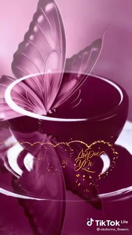 455c441e929bfb0801f6641159658977