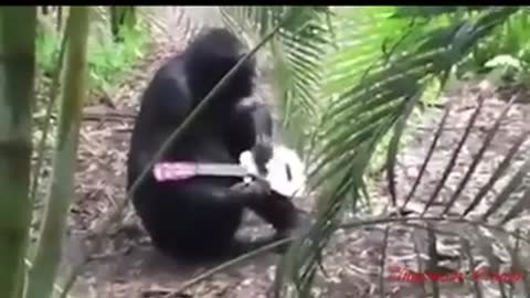 буй-буй-буй