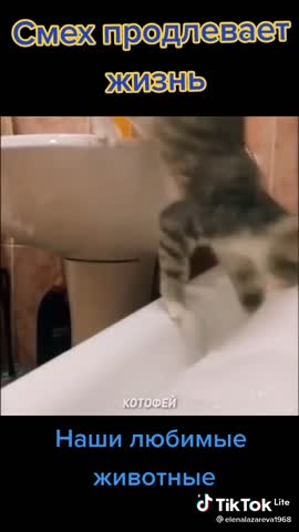 c978063e6139bf68caff9ac0a18585db