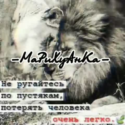 c6358e8e-144a-485e-ac7f-0fdf3251f2e7