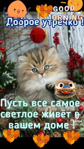 Foiz__VID-20211110-WA0001