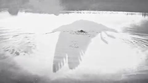 Aleksei_BELOV_NE_OTPUSKAJ_MOEJ_KI-m