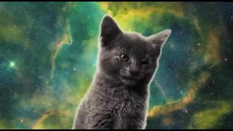 КотоСпейс