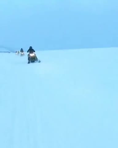 received_429155308846237