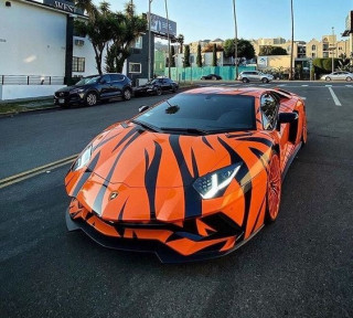 f9BEYG9nKTA