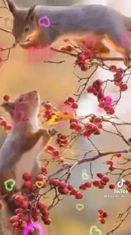 received_566031857833106