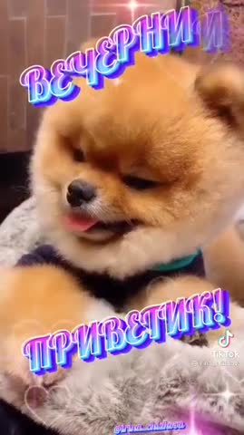 received_470749064364636